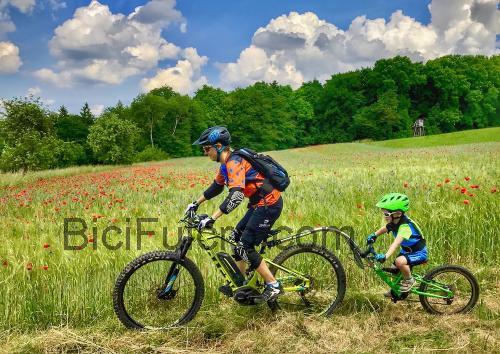 Tout Terrain Streamliner scheda tecnica e recensioni